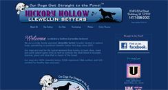 Desktop Screenshot of hickoryhollowllewellins.com